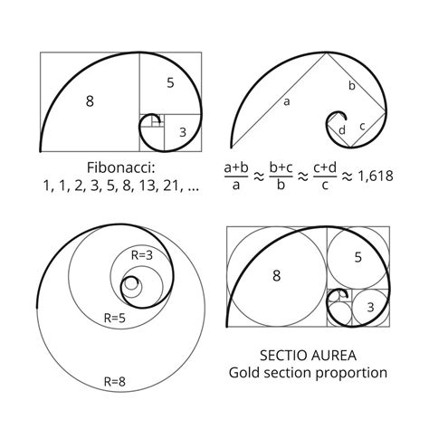 calcolatore fibonacci|calcolo fibonacci online.